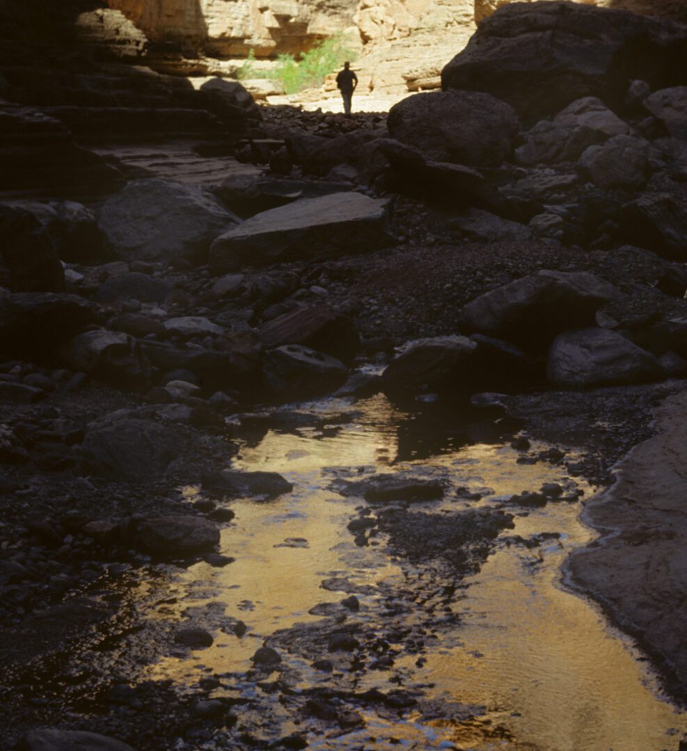 A person standing in the water near rocks.