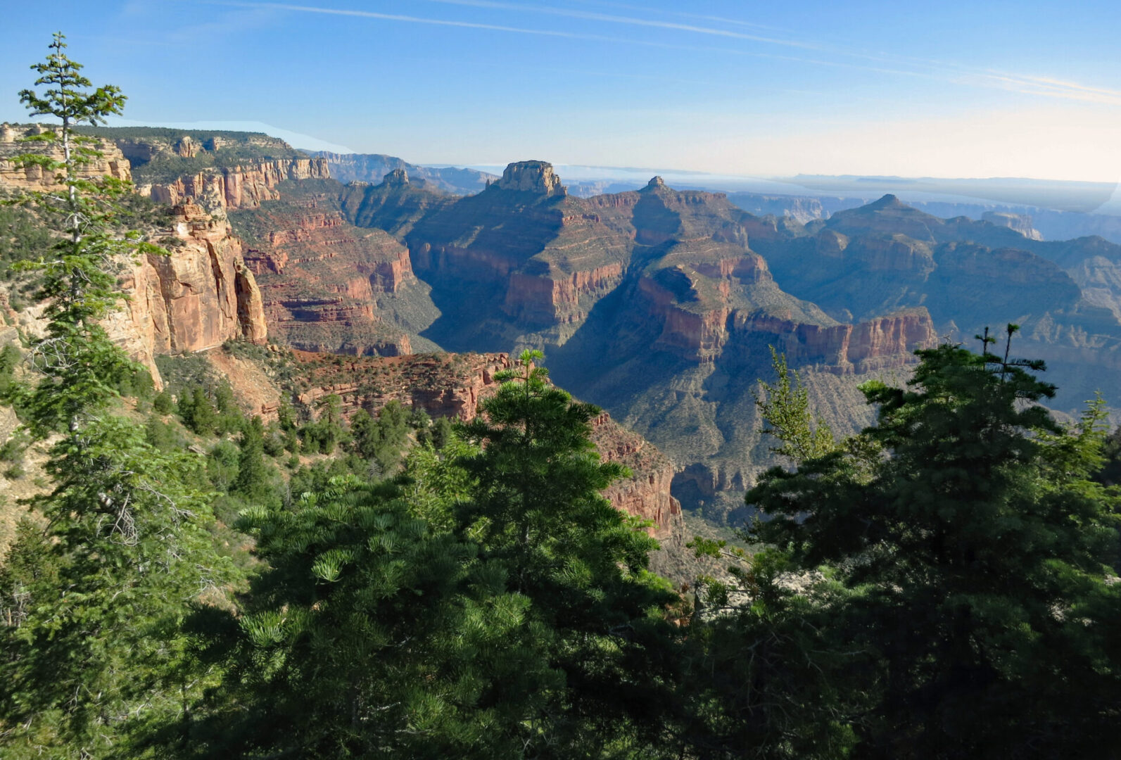 A view of the grand canyon from the top of angel 's window.