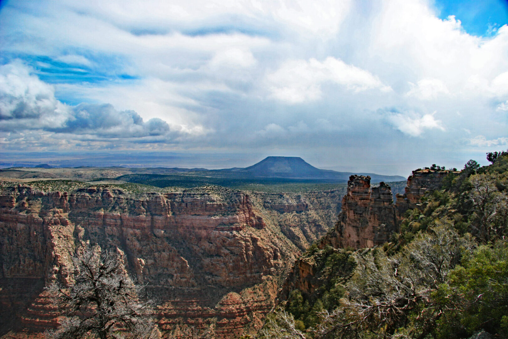 cedar mesa